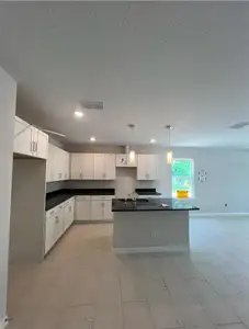 New construction Single-Family house 809 S Locust Ave, Sanford, FL 32771 - image