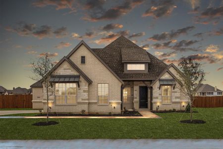 New construction Single-Family house 722 Winecup Wy, Midlothian, TX 76065 plan Concept 2555 - image