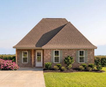 New construction Single-Family house 14 Splendor Run, Freeport, FL 32439 plan Gauguin III B - image