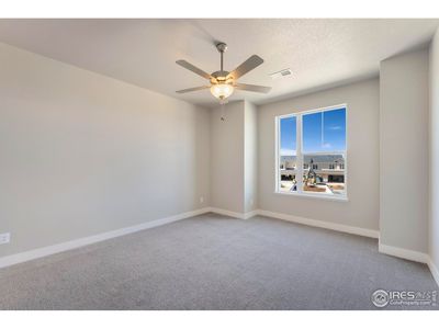 New construction Single-Family house 6793 Maple Leaf Dr, Unit 202, Timnath, CO 80547 plan Monarch - image 15