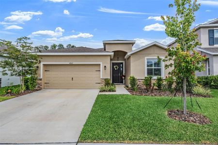 New construction Single-Family house 6862 Broad River Ave, Land O' Lakes, FL 34638 - image