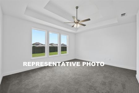 New construction Single-Family house 17616 Absinthe Dr, Austin, TX 78738 The Collins- photo 10 10