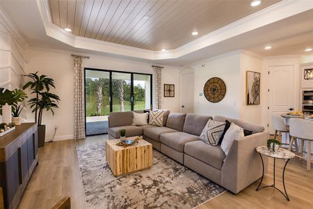 New construction Single-Family house 11335 Striped Bass Ct, New Port Richey, FL 34654 plan Salerno - image 8