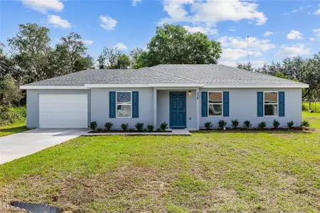 New construction Single-Family house 18 Pine Court Lp, Ocala, FL 34472 - image