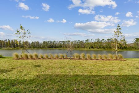 New construction Single-Family house 7819 Notched Pine Bnd, Wesley Chapel, FL 33545 Windsor- photo 88 88