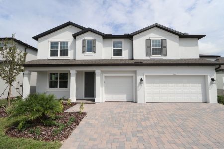 New construction Single-Family house 7819 Notched Pine Bnd, Wesley Chapel, FL 33545 Windsor- photo 3 3