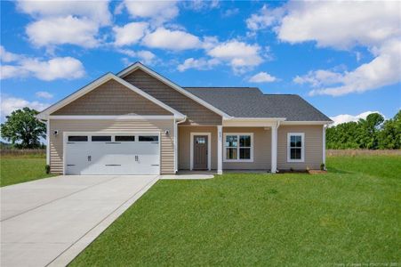 New construction Single-Family house 195 Barberry Rd, Raeford, NC 28376 - image
