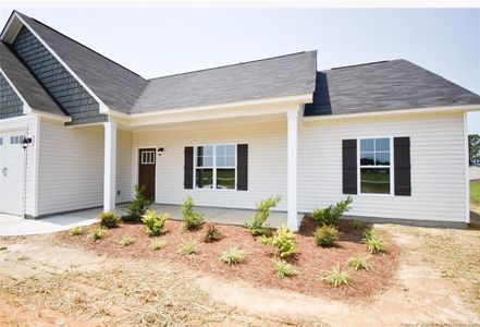 New construction Single-Family house 8443 Shannon Rd, Shannon, NC 28386 - image
