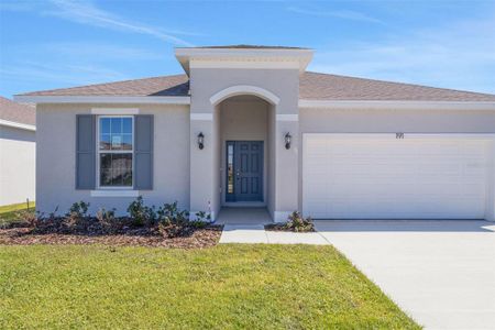 New construction Single-Family house 191 Bottle Brush Dr, Haines City, FL 33844 Mulberry- photo 24 24