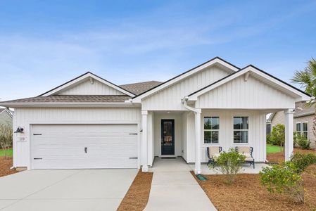 New construction Single-Family house 159 Whitewater Dr, Hardeeville, SC 29927 plan Stanwyck - image