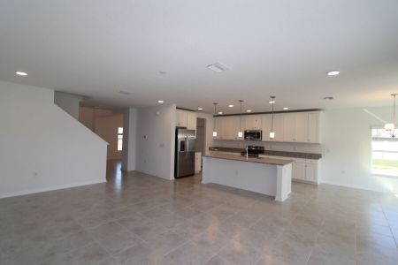 New construction Single-Family house 38350 Tobiano Loop, Dade City, FL 33525 Cabo- photo 148 148