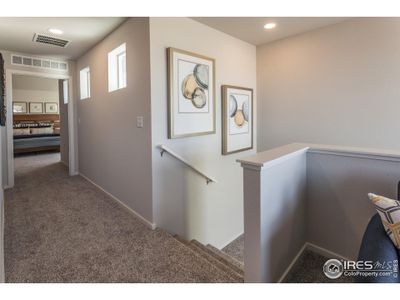 New construction Single-Family house 6112 Dutch Dr, Timnath, CO 80547 Newton- photo 18 18