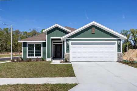 New construction Single-Family house 16881 Nw 176Th Wy, Alachua, FL 32615 - image