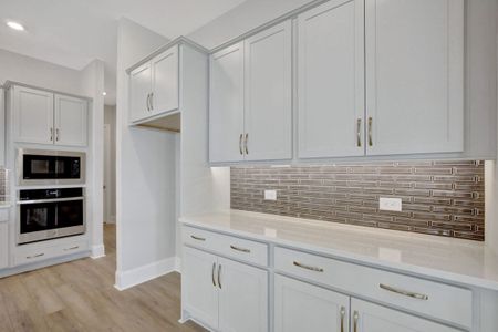 New construction Single-Family house 70 Club Cresswind Dr, Newnan, GA 30263 Taylor- photo 5 5