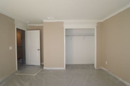 New construction Single-Family house 20125 Oriana Loop, Land O' Lakes, FL 34638 Santina II- photo 149 149