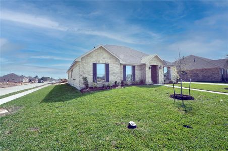 New construction Single-Family house 2203 Dorado St, League City, TX 77539 - image 17