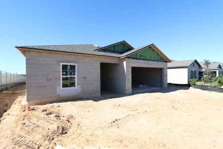 New construction Single-Family house 12263 Hilltop Farms Dr, Dade City, FL 33525 Sentinel- photo 35 35