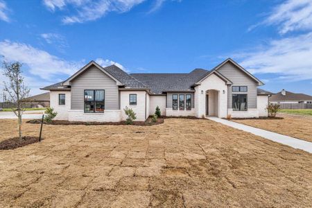 New construction Single-Family house 115 Cattail Ct, Robinson, TX 76706 - image