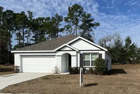 New construction Single-Family house 134 Hickory Course Trl, Ocala, FL 34472 plan Aria - image