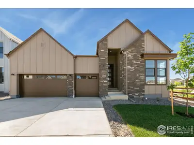 New construction Single-Family house 1719 Branching Canopy Dr, Windsor, CO 80550 plan 1 - image