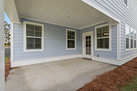 New construction Single-Family house 200 Foxbank Plantation Blvd, Moncks Corner, SC 29461 null- photo 69 69