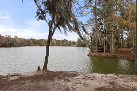 New construction Single-Family house 1107 Bellwether Ln, Summerville, SC 29485 Camellia- photo 45 45