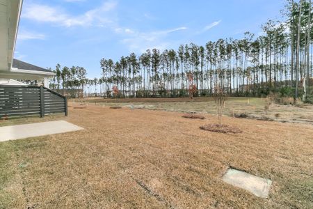 New construction Townhouse house 853 Descartes St, Summerville, SC 29486 Palmetto- photo 37 37