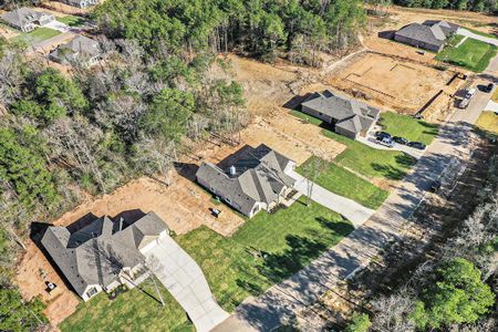 New construction Single-Family house 11663 Wilgers Way, Willis, TX 77378 Montgomery- photo 9 9