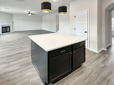 New construction Single-Family house Ludowici, GA 31316 plan The Arcadia - image 7