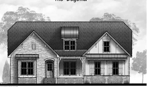 New construction Single-Family house 3718 Hinton Mill Ct, Franklinton, NC 27525 - image
