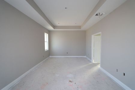 New construction Single-Family house 31229 Denham Ridge Ln, Wesley Chapel, FL 33545 Newport II- photo 20 20