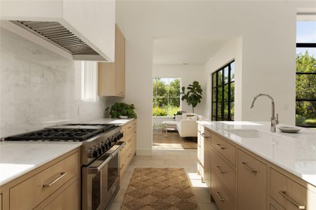 New construction Single-Family house 4401 Amarra Dr, Unit 20, Austin, TX 78735 - image 14