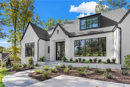 New construction Single-Family house 1091 High Bluff Ln, Greensboro, GA 30642 - image