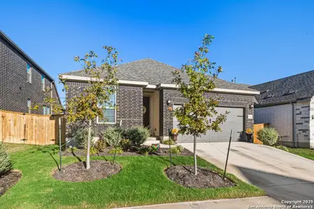 New construction Single-Family house 436 Basket Grass, San Marcos, TX 78666 - image