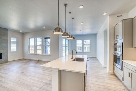 New construction Single-Family house 22097 E Rockinghorse Pkwy, Aurora, CO 80016 Sanctuary- photo 4 4