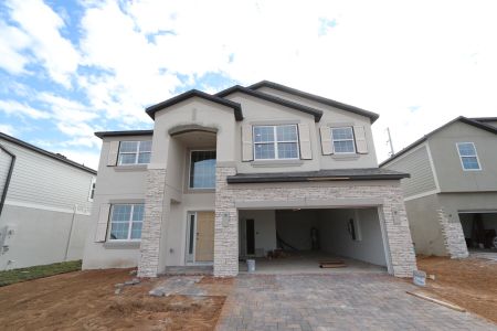 New construction Single-Family house 38338 Tobiano Loop, Dade City, FL 33525 Mira Lago- photo 113 113