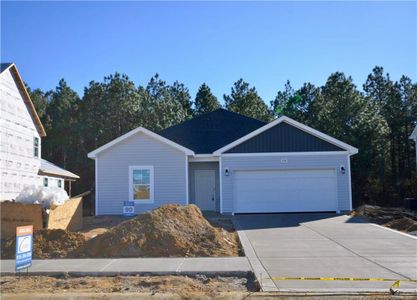 New construction Single-Family house 218 Ironbark Dr, Raeford, NC 28376 - image