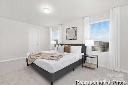 New construction Single-Family house 1755 Autumn Banks Wy, Unit 77p, High Shoals, NC 28077 - image