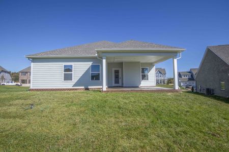 New construction Single-Family house 405 Ivey Farms Rd, Farragut, TN 37934 plan The Elm - image 4