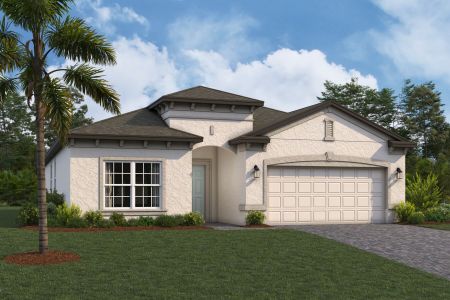 New construction Single-Family house 31979 Sapna Chime Dr, Wesley Chapel, FL 33543 null- photo 3 3