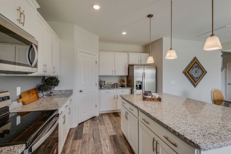 New construction Single-Family house 731 Larry Circle Mt, Mount Pleasant, TN 38474 plan Harvest GY - image 13