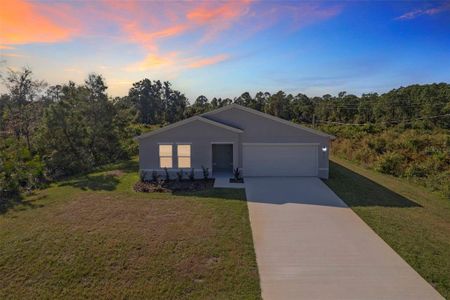 New construction Single-Family house 8035 Yumuri St, Sebring, FL 33872 plan Ocoee - image