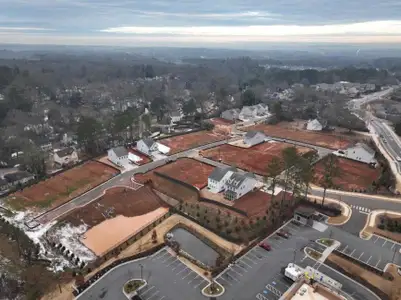 New construction Single-Family house 261 Dahlia Dr, Woodstock, GA 30188 Cogburn- photo 2 2