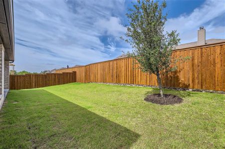 New construction Single-Family house 161 Honey Locust Dr, Prosper, TX 75078 Plan 1138- photo 26 26