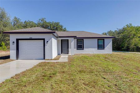 New construction Single-Family house 354 Fisher Wy, Ocklawaha, FL 32179 - image