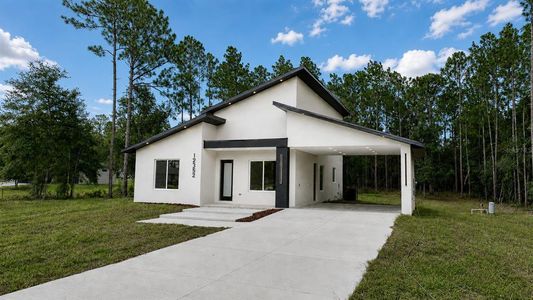 New construction Single-Family house 12352 Sw 61St Place Rd, Ocala, FL 34481 - image