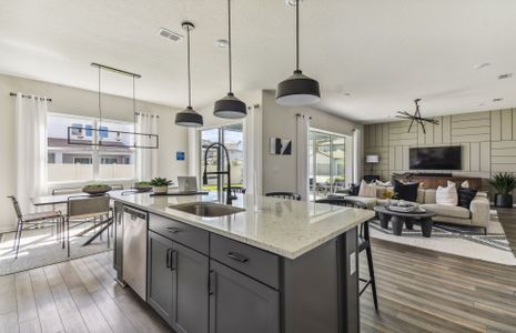 Vida's Way by Pulte Homes in Zephyrhills - photo 23 23