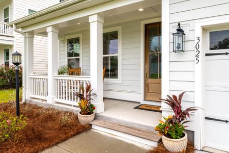 New construction Single-Family house 3025 Dewitt Ct, Hollywood, SC 29449 - image