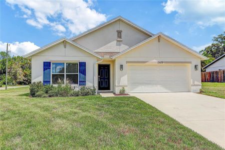 New construction Single-Family house 13419 Chippendale St, Spring Hill, FL 34609 - image