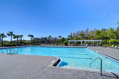 New construction Townhouse house 1291 Colt Creek Pl, Wesley Chapel, FL 33543 null- photo 65 65